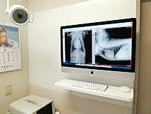 ＯｓｉｒｉＸ
